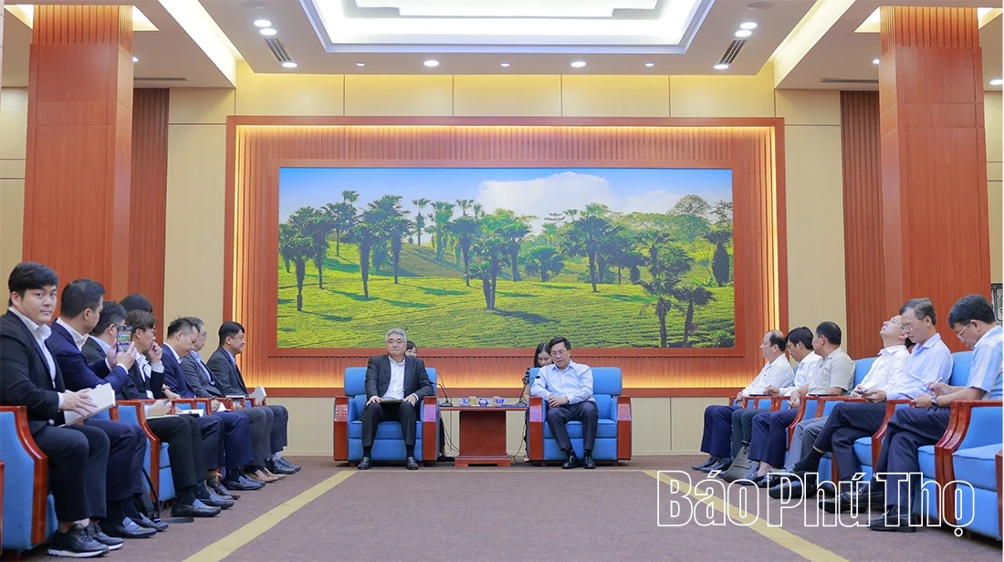 Chủ tịch UBND tỉnh Trần Duy Đông tiếp và làm việc với Tập đoàn SK