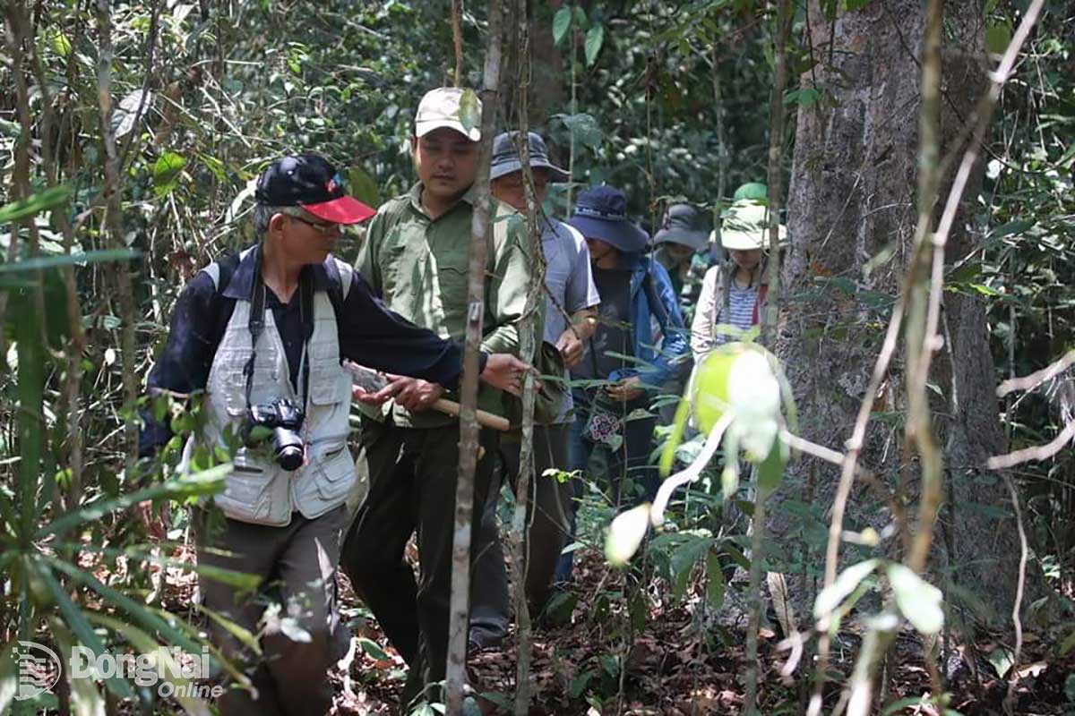 Khu Bảo tồn Thiên nhiên - Văn hóa Đồng Nai là nơi tìm hiểu về đa dạng sinh học của nhiều nhà khoa học trên thế giới. Ảnh: Q.Trung