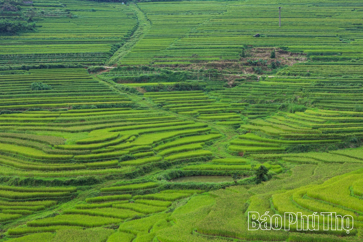 Thả hồn trên đỉnh Mường Vang