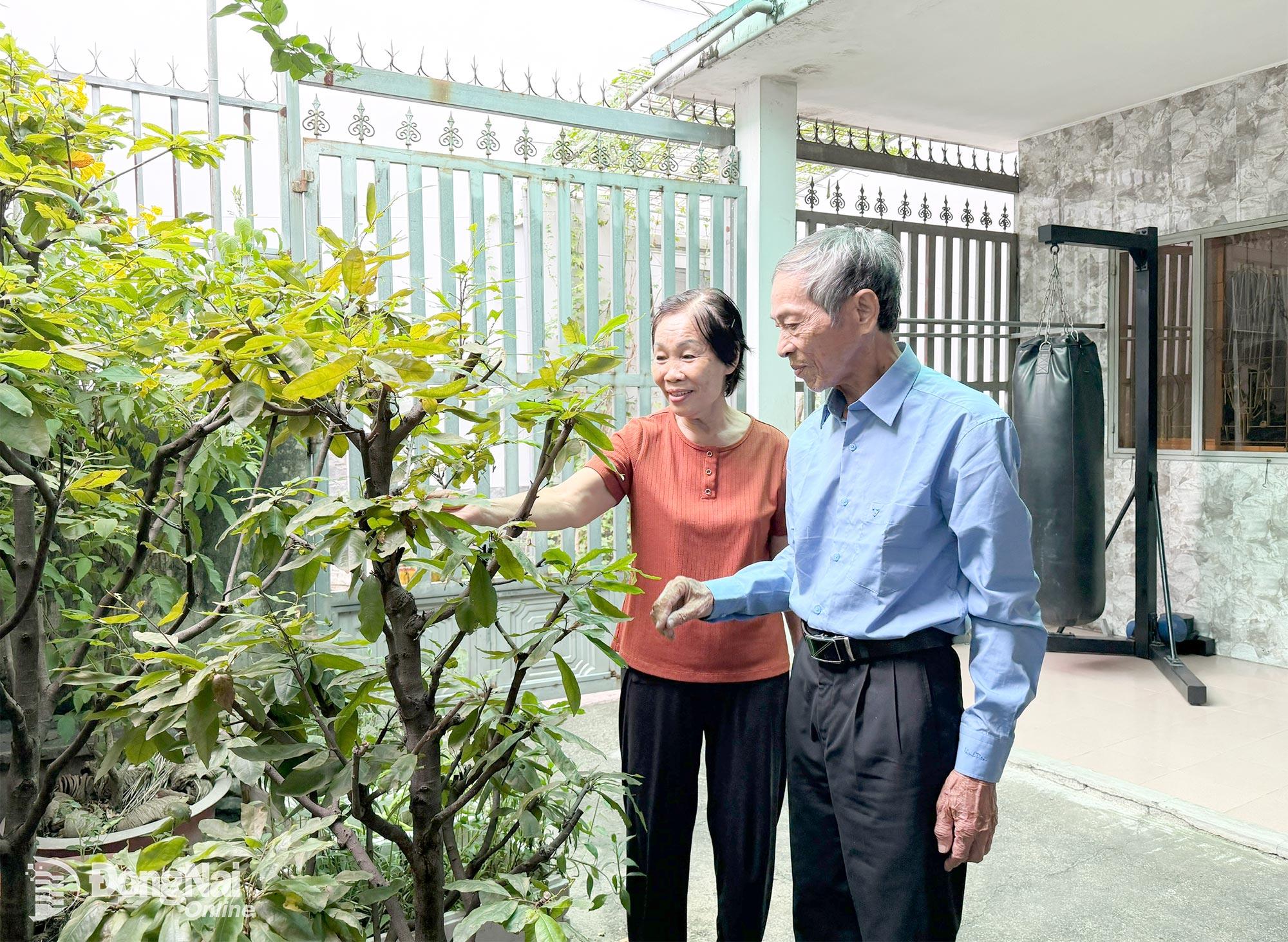 Ông Nguyễn Văn Nhuận và bà Phan Thị Hồng vẫn giữ thói quen lao động nhẹ nhàng để duy trì sức khỏe. Ảnh: PV
