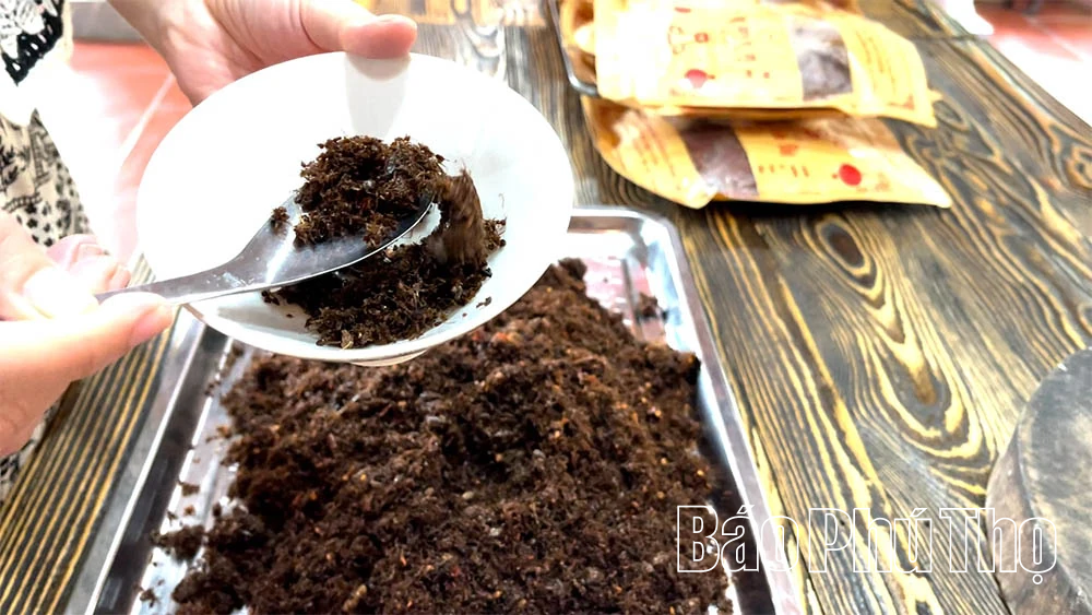 Bò tái kiến đốt - đặc sản lạ lùng của núi rừng Tam Đảo