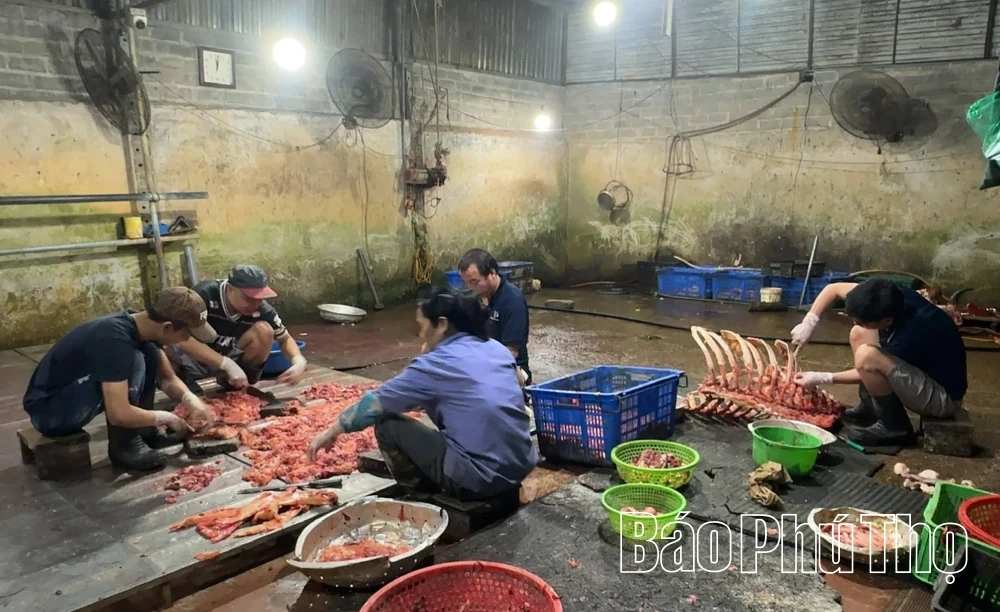 Kiểm tra công tác quản lý hoạt động giết mổ động vật, đảm bảo an toàn vệ sinh thực phẩm