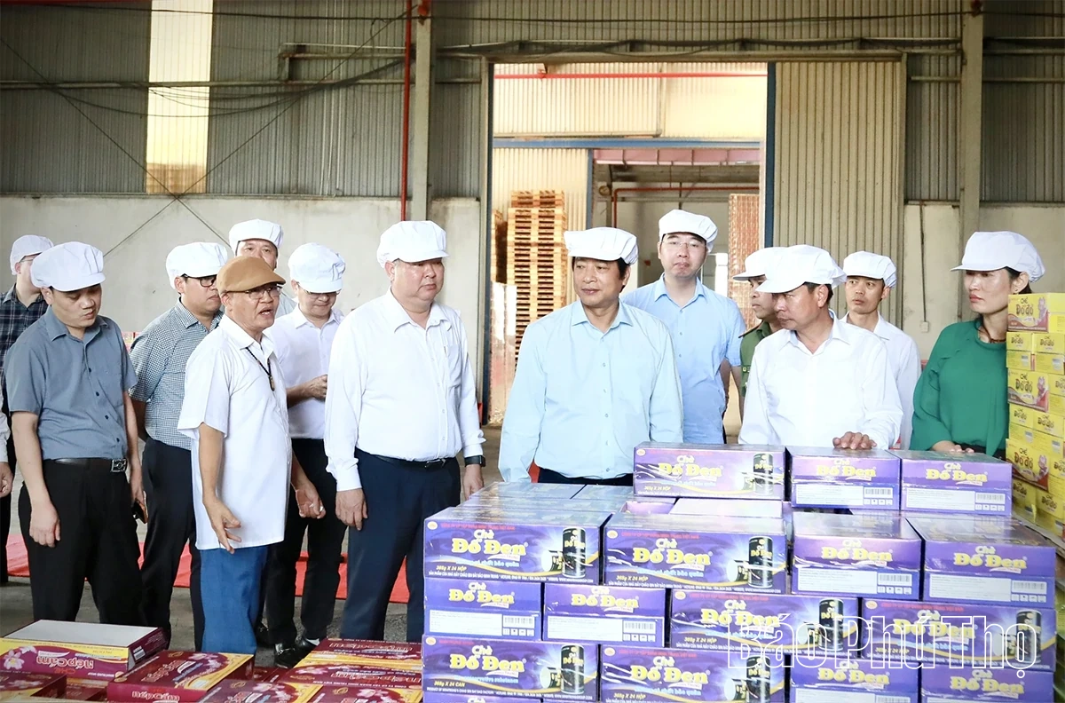 Giám sát chuyên đề đối với Ban Thường vụ Đảng ủy xã Lương Sơn