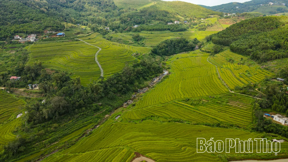 Thả hồn trên đỉnh Mường Vang