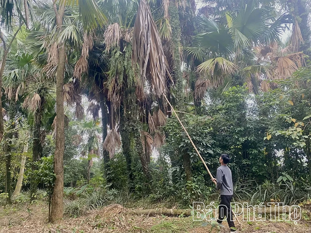 Lạ miệng từ m&oacute;n x&ocirc;i cọ