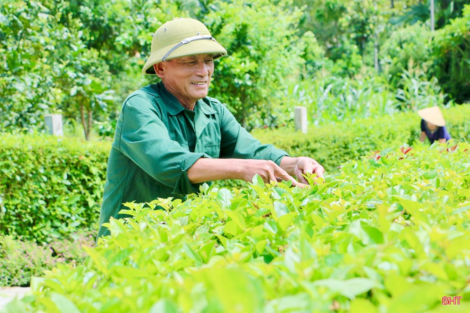 Người dân nơi đây luôn ý thức làm đẹp cảnh quan vườn nhà. bqbht_br_img-3049-copy.jpg