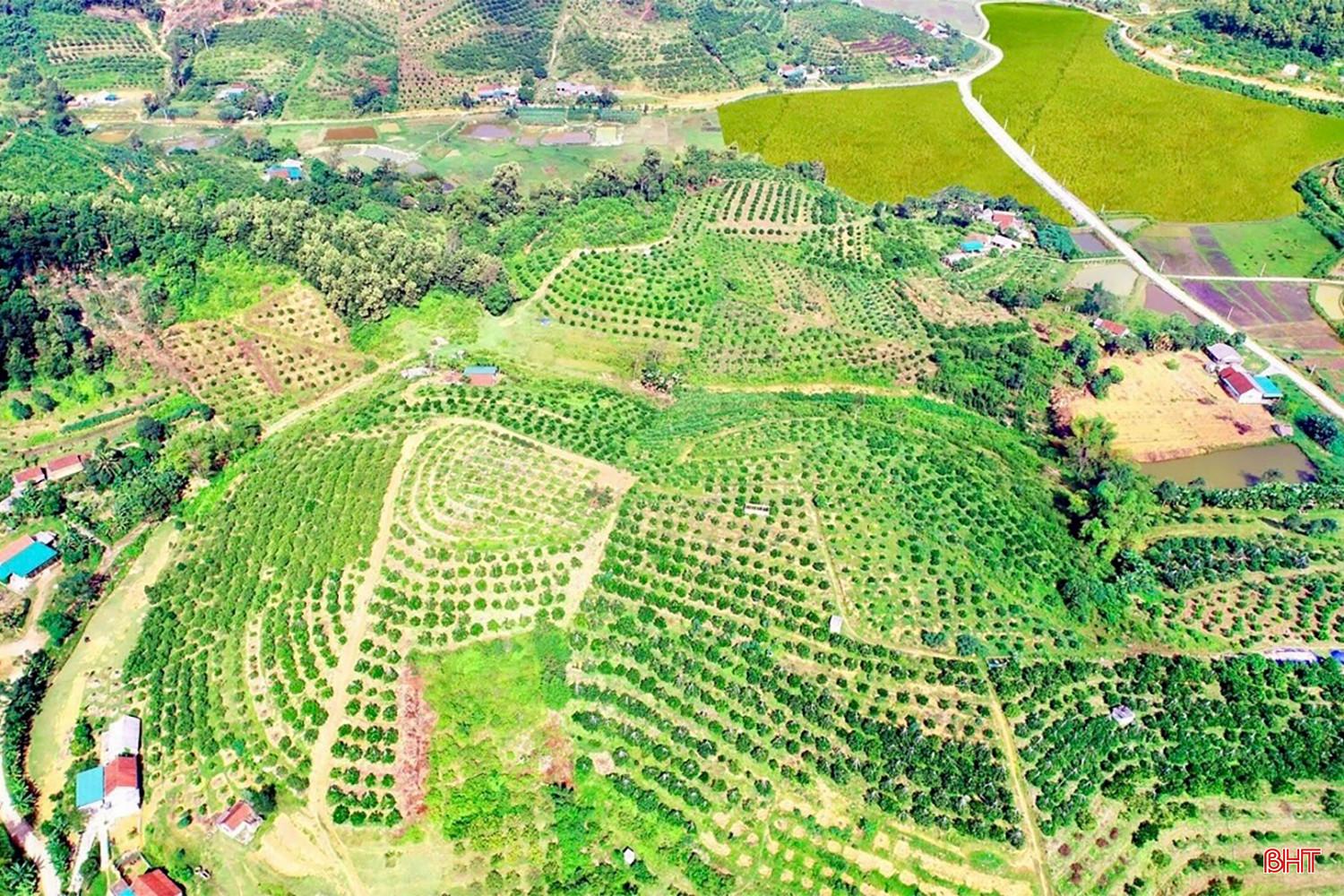 Địa phương phấn đấu đến năm 20230, thu nhập bình quân đầu người đạt 68 triệu đồng.