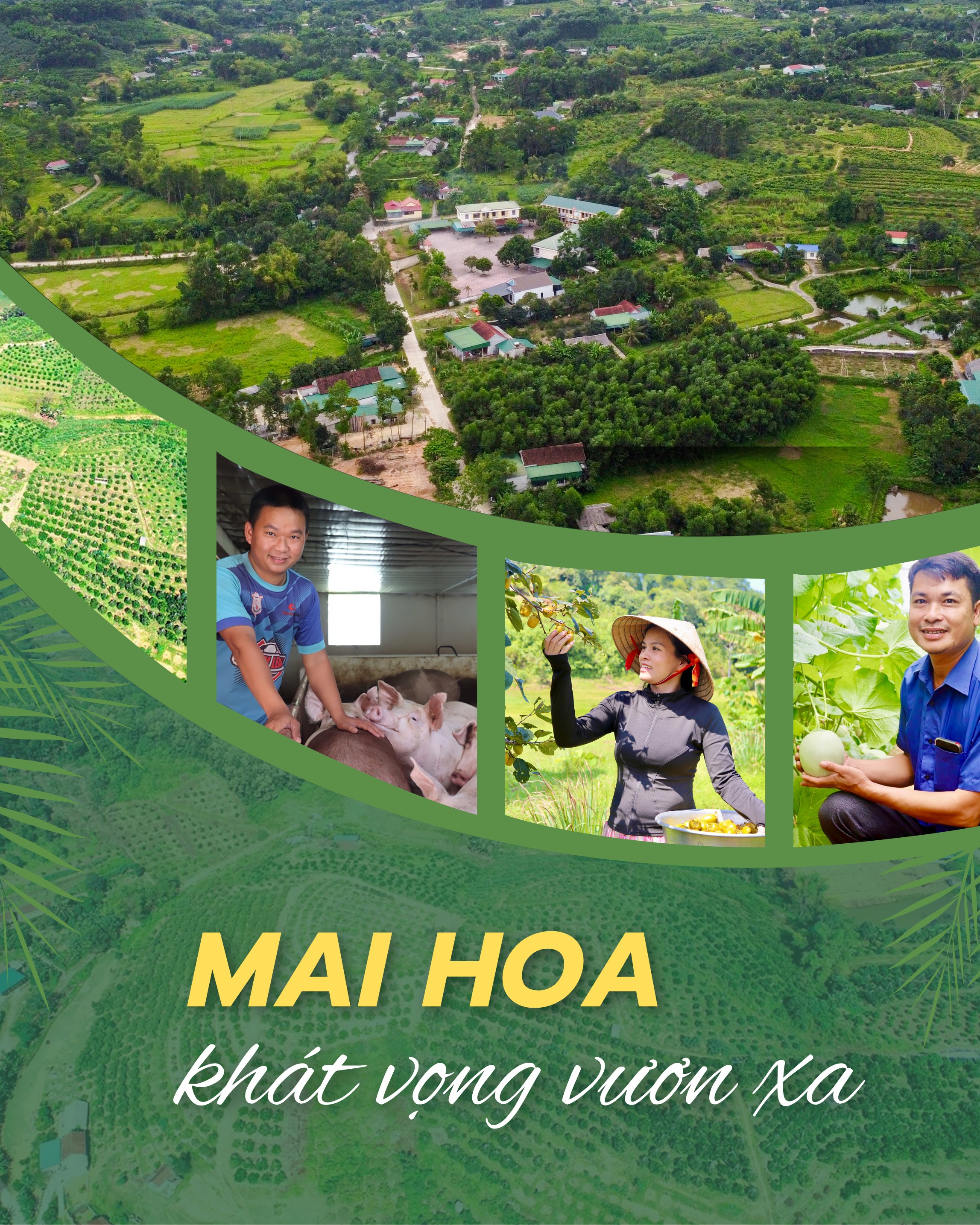 xa-mai-hoa-cover-1.png