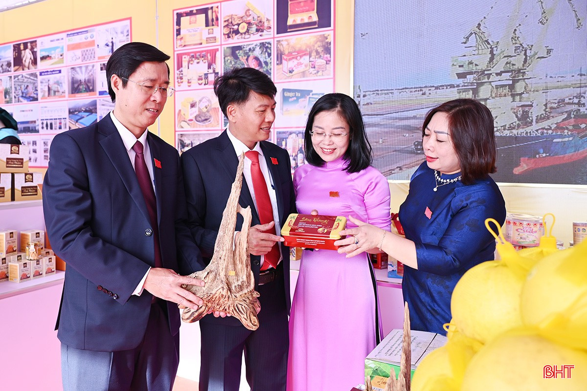 Đây là những sản phẩm được công nhận sản phẩm OCOP 3 sao, 4 sao và vinh danh sản phẩm công nghiệp nông thôn tiêu biểu cấp tỉnh, khu vực và quốc gia.