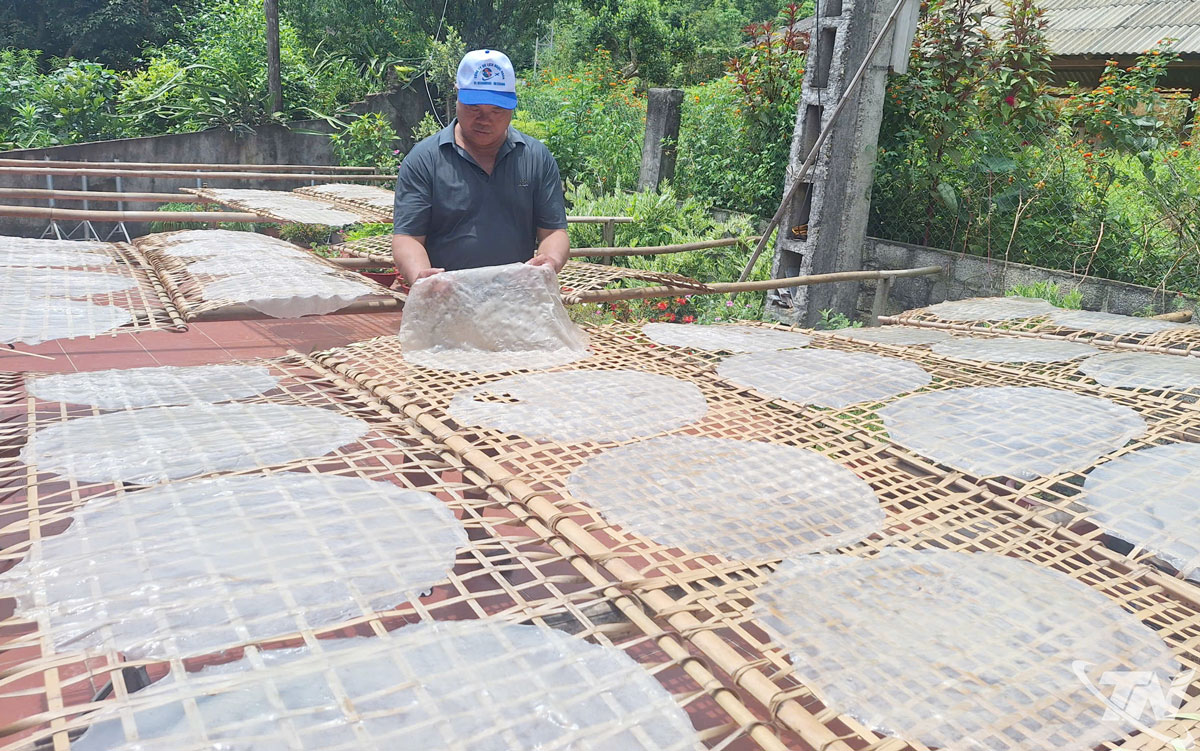 Làng nghề miến dong Côn Minh (Thái Nguyên) nổi tiếng với sản phẩm miến dong thái tay.