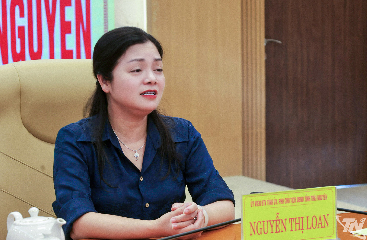 Đồng chí Phó Chủ tịch UBND tỉnh Nguyễn Thị Loan kết luận cuộc họp.
