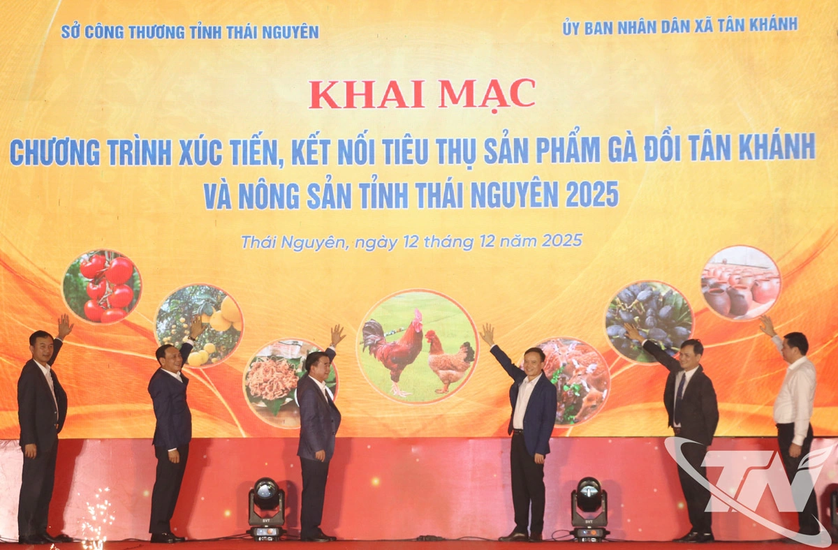 Các đại biểu thực hiện nghi thức khai mạc Chương trình xúc tiến, kết nối tiêu thụ sản phẩm gà đồi Tân Khánh và nông sản tỉnh Thái Nguyên năm 2025.