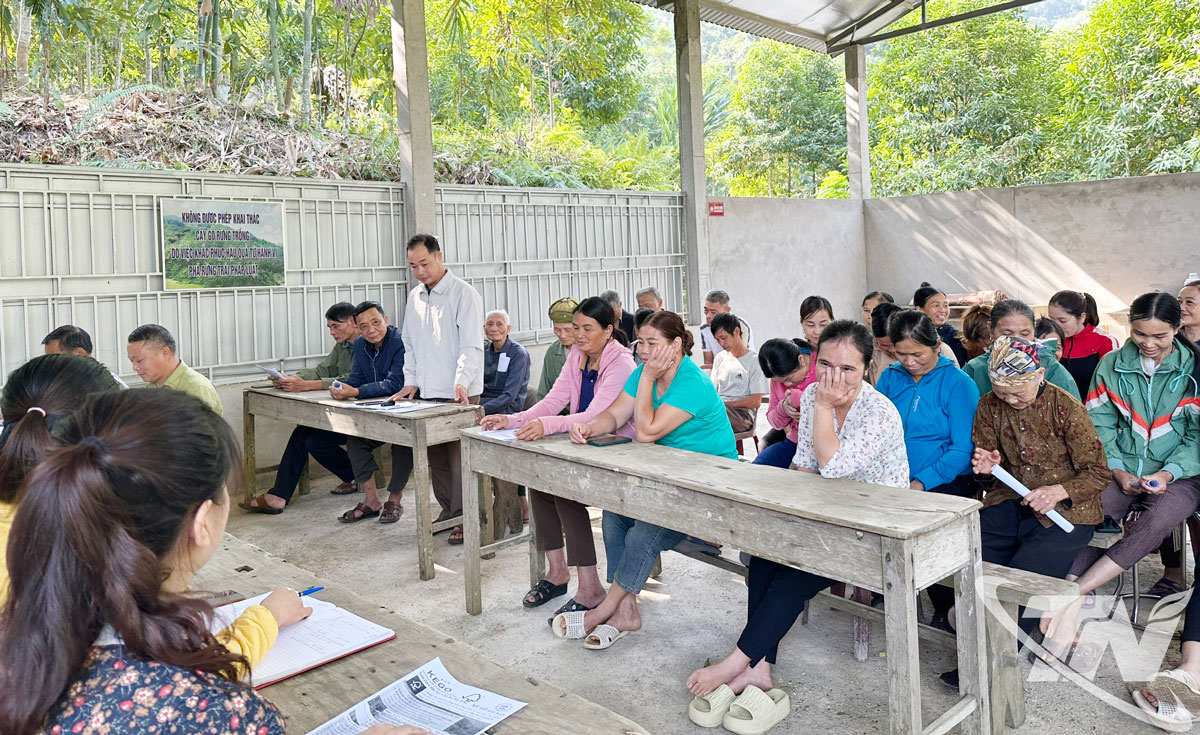 Người dân xã Nghĩa Tá được tập huấn kỹ thuật trồng rừng theo tiêu chuẩn FSC.