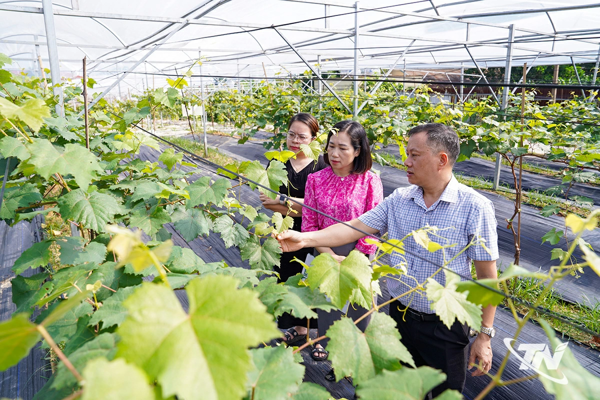 6 tháng qua, nông nghiệp duy trì ổn định, bảo đảm an ninh lương thực và sinh kế khu vực nông thôn.