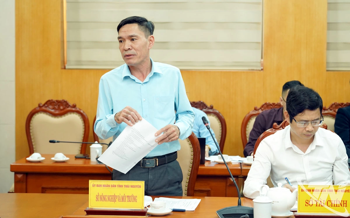 Đại diện Sở Nông nghiệp và Môi trường phát biểu tại buổi làm việc