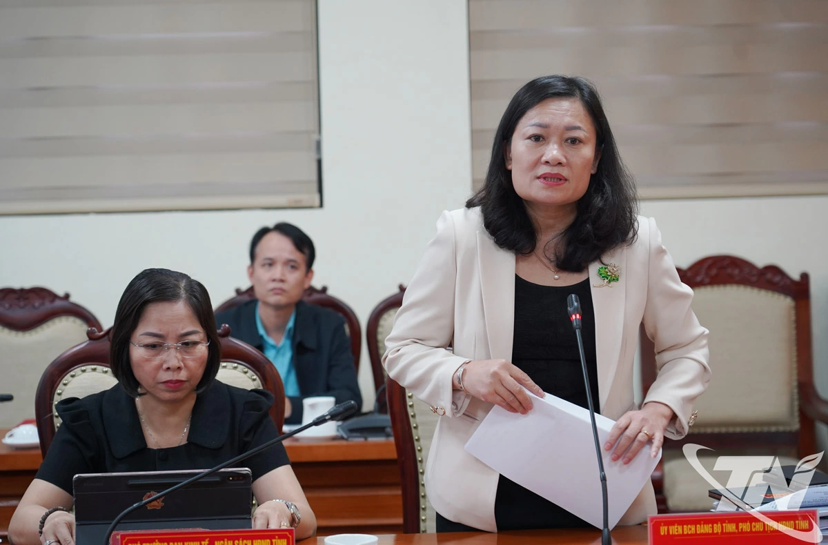 Đồng chí Mai Thị Thúy Nga, Phó Chủ tịch HĐND tỉnh phát biểu tại Hội nghị.  