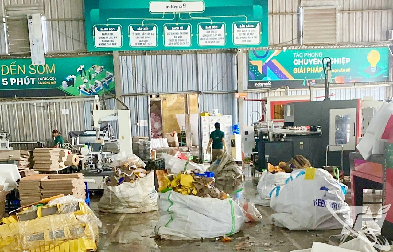 Toàn bộ 1.500 m2 nhà xưởng với hàng chục nghìn tấn giấy, hàng của Công ty TNHH In và Thiết kế thương hiệu Tuấn Hoàng bị ngập sâu trong nước, gây thiệt hại lớn.