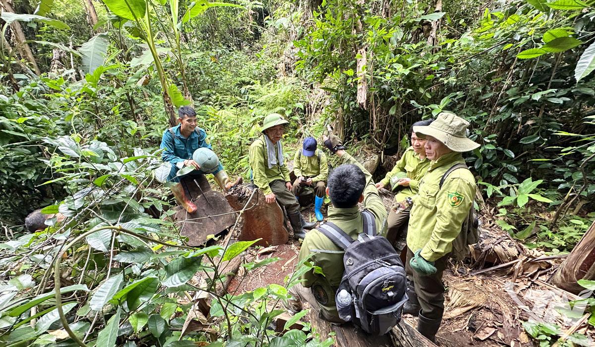 Lực lượng Kiểm lâm tuần tra, kiểm soát tại khu vực Vườn quốc gia Ba Bể. Ảnh Văn Lạ