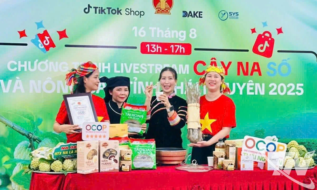 Việc đăng ký và sử dụng tên miền “.vn” giúp doanh nghiệp, hợp tác xã và cơ sở sản xuất kinh doanh ở Thái Nguyên xây dựng thương hiệu, mở rộng thị trường tiêu thụ sản phẩm.