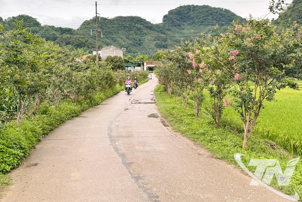 Đường hoa nông thôn mới ở xã Tân Kỳ rực rỡ sắc màu, góp phần tạo cảnh quan xanh - sạch - đẹp.