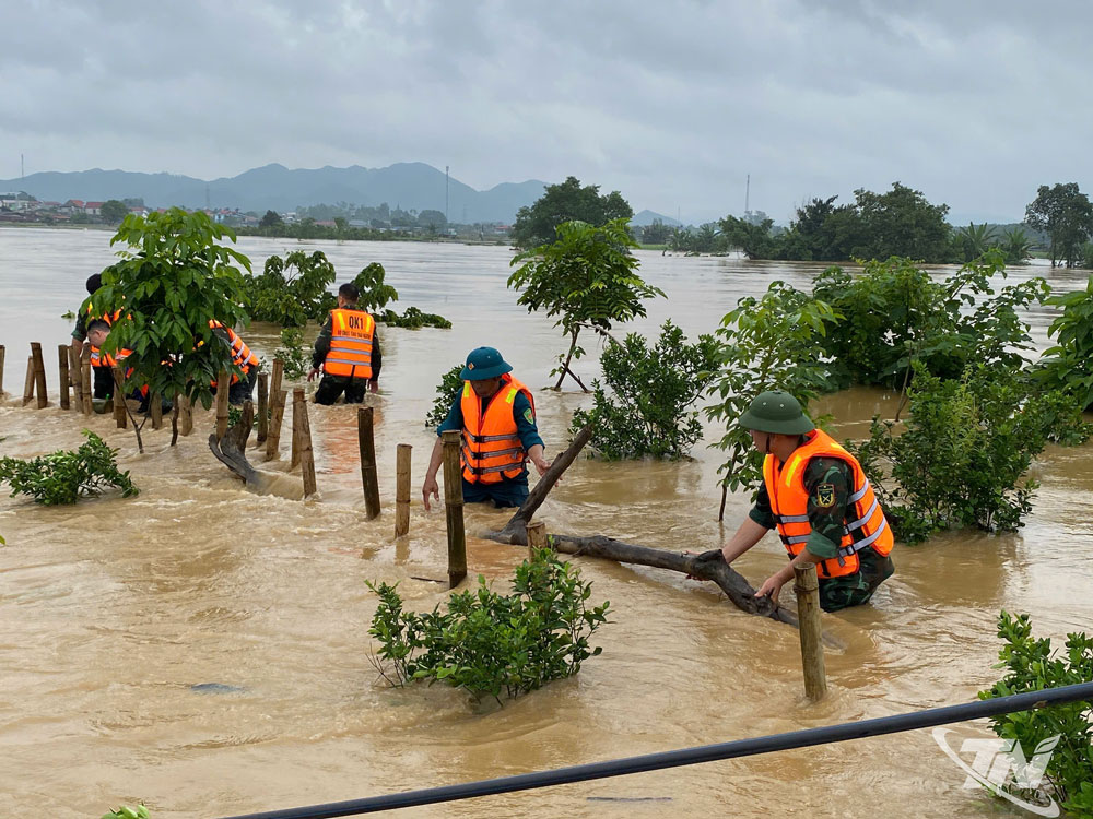 Lực lượng vũ trang địa phương kịp thời có mặt tại hiện trường và tích cực gia cố đoạn đê bị nứt, vỡ.