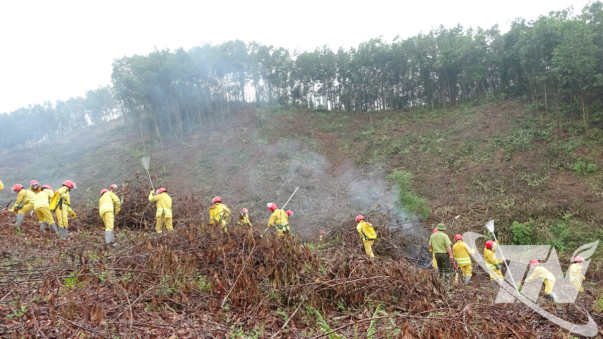 Tổ chức diễn tập chữa cháy rừng tại cơ sở.