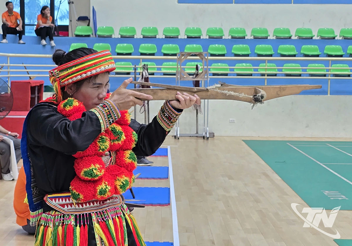 Các vận động viên môn Bắn nỏ đã xuất sắc giành được 76 giải thưởng.