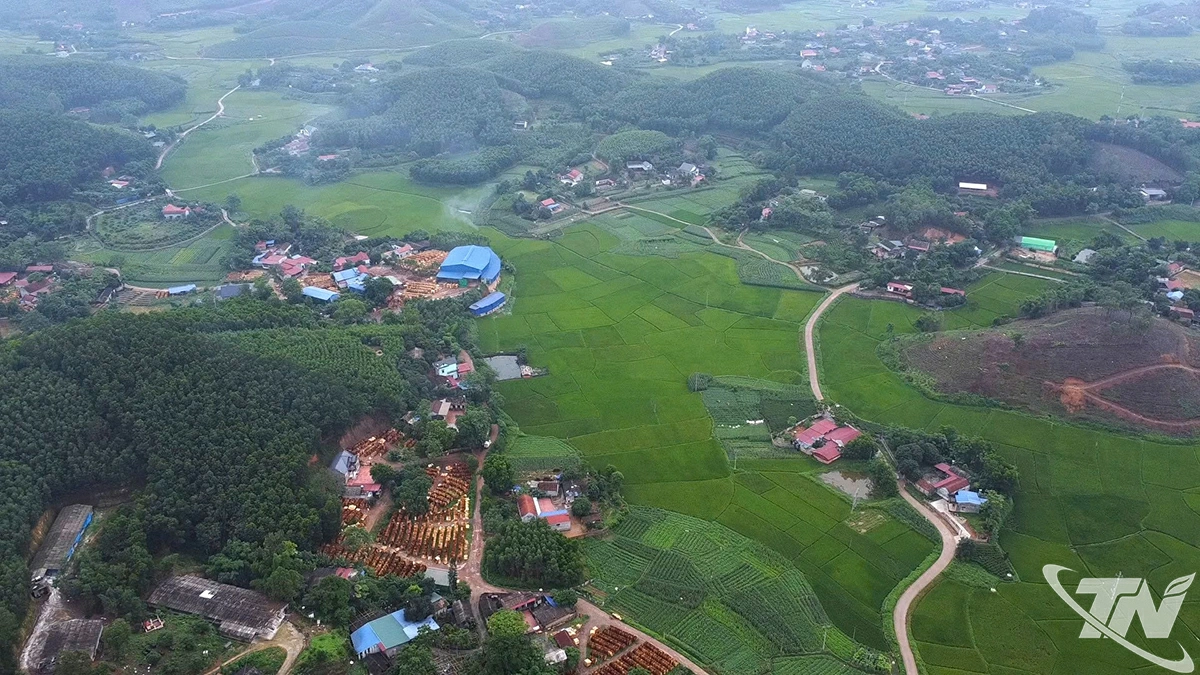 Thái Nguyên đang thực hiện hành trình chuyển đổi số từ nông nghiệp công nghệ cao sang phát triển nông nghiệp xanh.