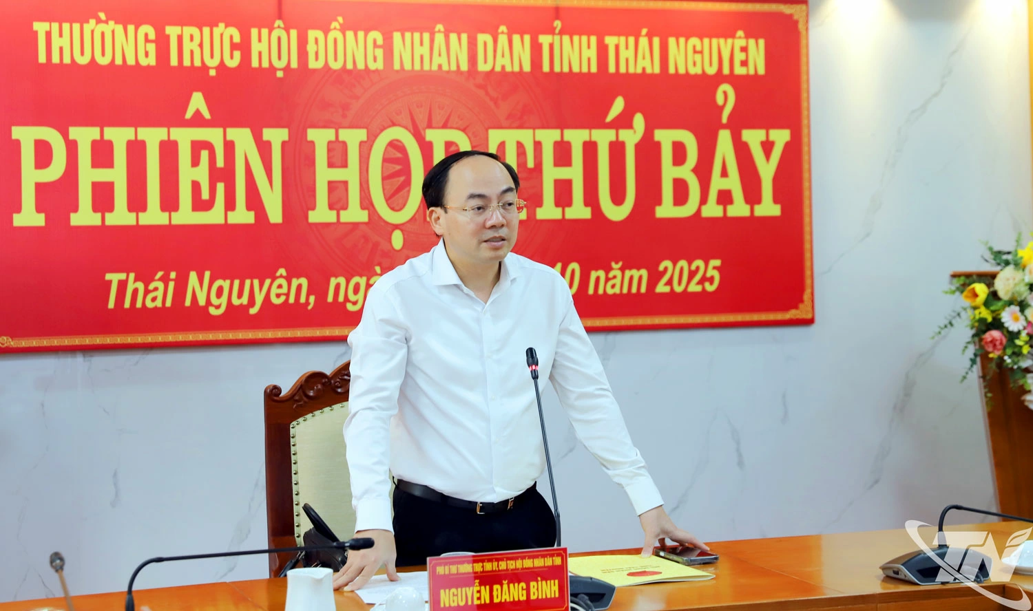 Đồng chí Phó Bí thư Thường trực Tỉnh ủy, Chủ tịch HĐND tỉnh phát biểu kết luận Phiên họp