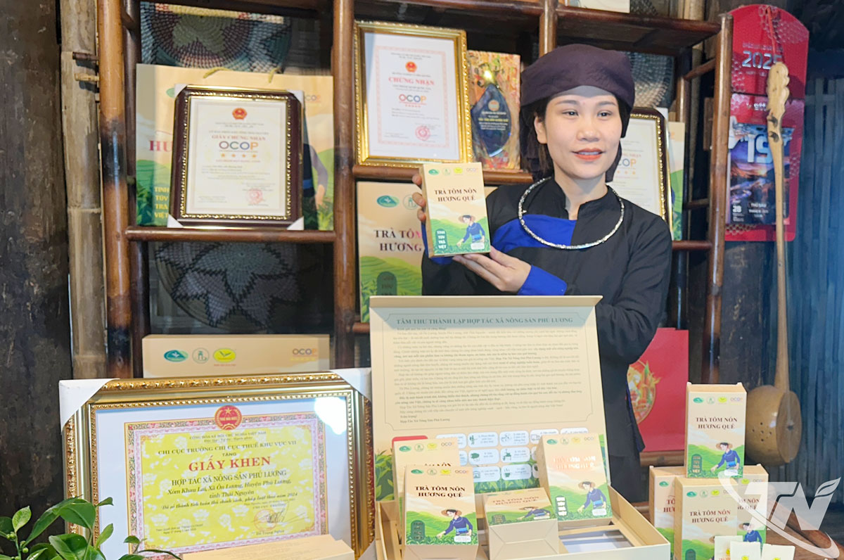 HTX Nông sản Phú Lương chuẩn bị các sản phẩm trà OCOP 4-5 sao trưng bày tại Lễ hội “Thái Nguyên – Hương sắc danh trà 2025”.