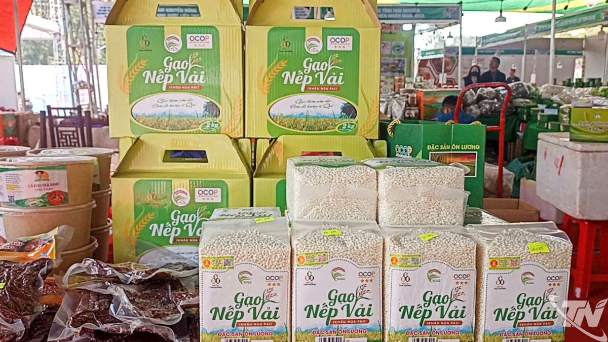 Sản phẩm nếp vải &Ocirc;n Lương đ&atilde; được c&ocirc;ng nhận sản phẩm OCOP từ nhiều năm nay, được người ti&ecirc;u d&ugrave;ng ưa chuộng, nhất l&agrave; trong dịp Tết Nguy&ecirc;n đ&aacute;n hằng năm.