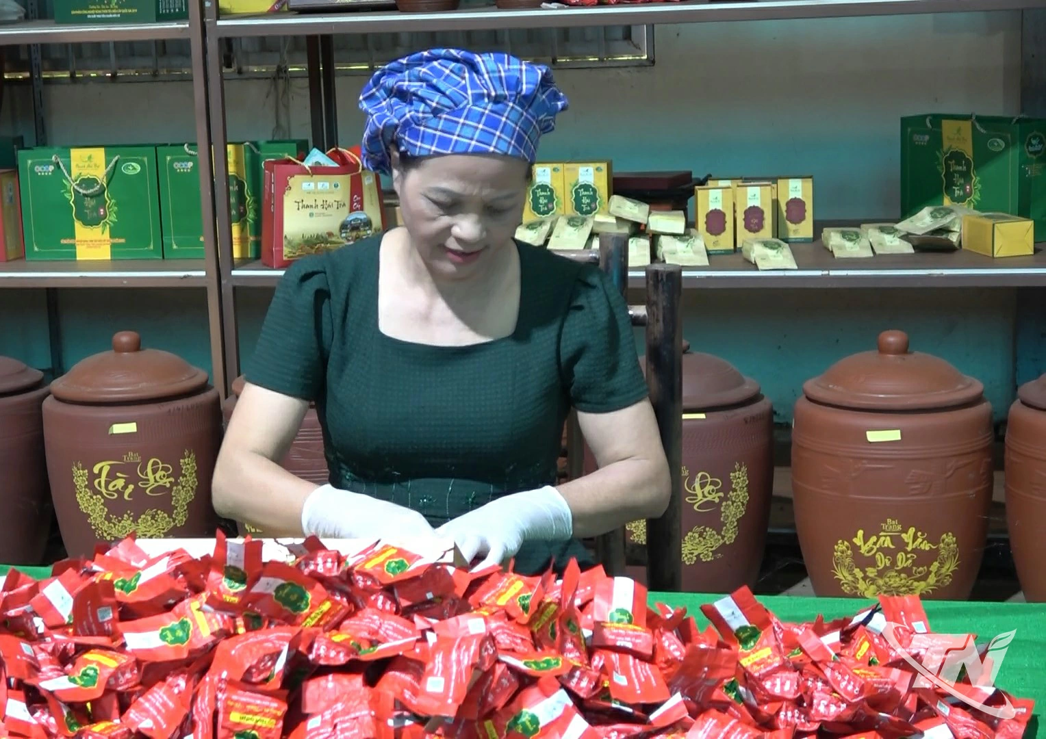 Bà Nguyễn Thị Hải, Chủ tịch HĐQT Hợp tác xã Chè La Bằng kiểm tra sản phẩm trà