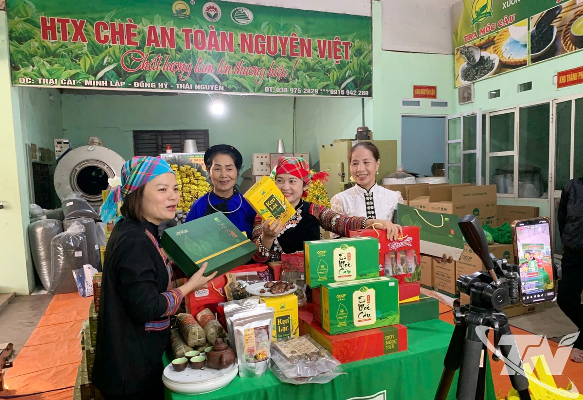 Livestream bán hàng là một trong những phương thức giới thiệu rộng rãi, tiêu thụ sản phẩm chè hiệu quả