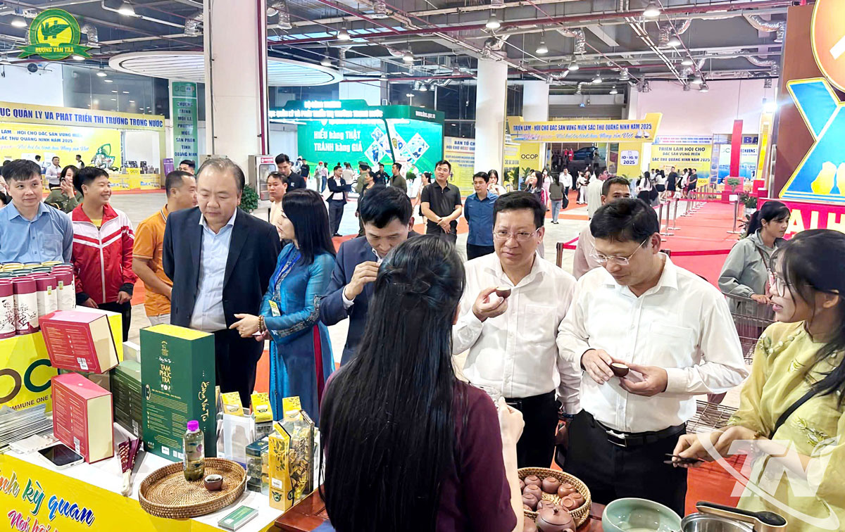 Không gian trưng bày và thưởng trà Thái Nguyên tại Triển lãm - Hội chợ đặc sản vùng miền Sắc thu Quảng Ninh 2025.