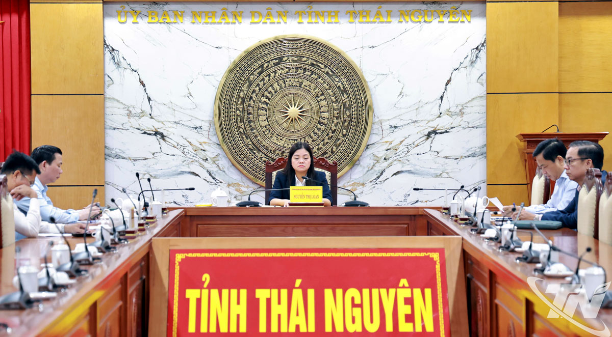 Điểm cầu UBND tỉnh Thái Nguyên tại Hội nghị trực tuyến về các giải pháp phát triển đột phá nhà ở xã hội