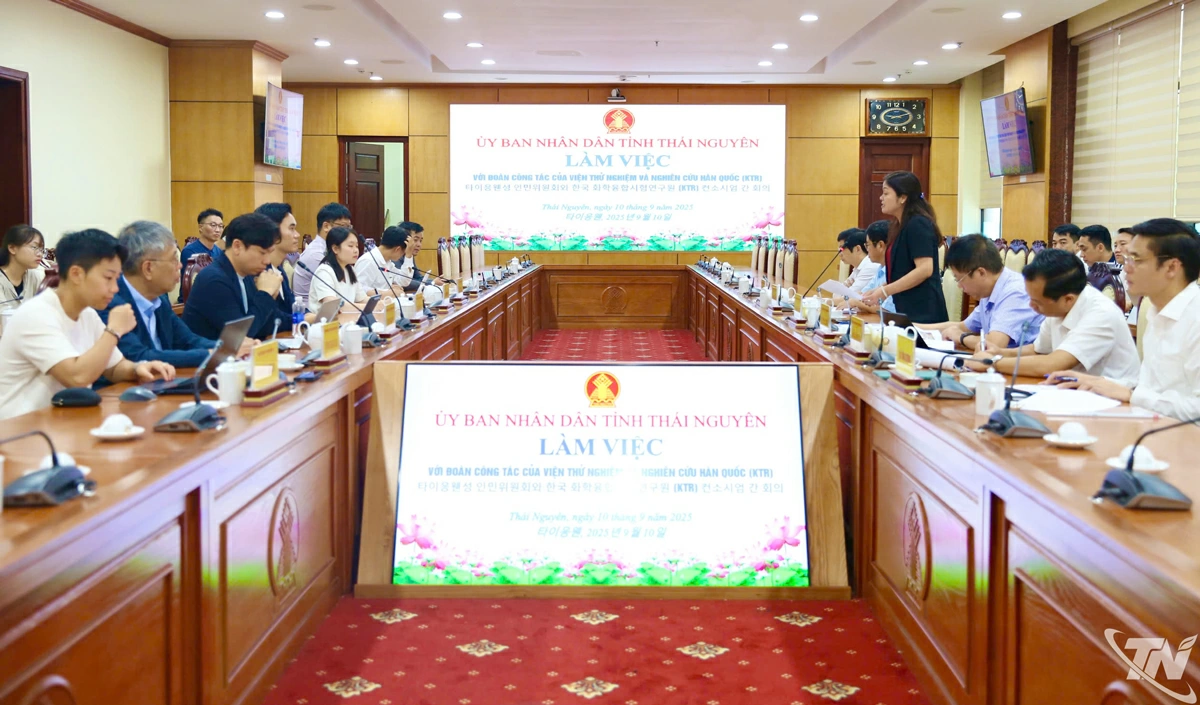 Đồng chí Nguyễn Thị Loan, Phó Chủ tịch UBND tỉnh phát biểu tại buổi làm việc