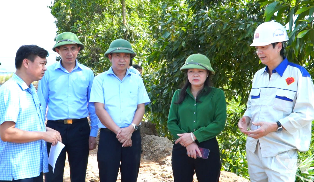 Đồng chí Phó Chủ tịch UBND tỉnh kiểm tra thực tế tại hiện trường