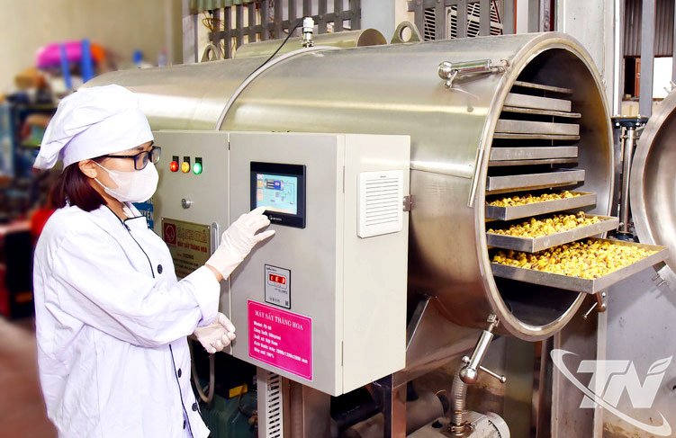 Công ty TNHH Hà Diệp (ở phường Đức Xuân) đầu tư máy sấy trong sản xuất trà hoa vàng, giúp giảm nhân công, nâng cao công suất chế biến, chất lượng sản phẩm.