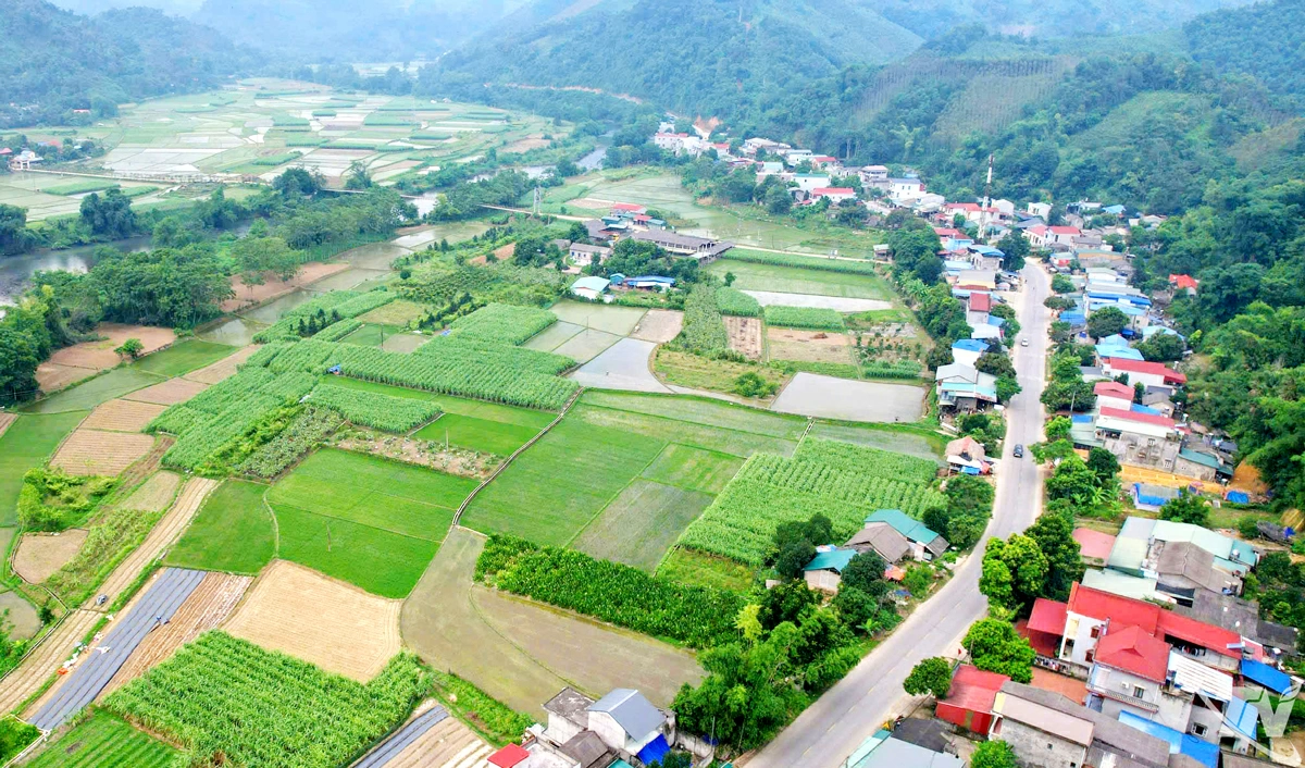 Thực hiện Chương trình mục tiêu Quốc gia phát triển kinh tế - xã hội vùng đồng bào dân tộc thiểu số và miền núi giai đoạn 2021-2025, xã Tân Kỳ được đầu tư nhiều công trình kết cấu hạ tầng, đời sống nhân dân từng bước được nâng cao.