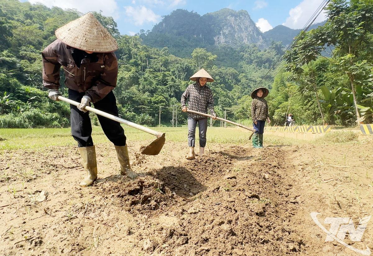 Người dân Hợp Thành, xã Đồng Phúc làm đất trên diện tích ruộng bị vùi lấp để trồng cây đỗ tương thay thế.