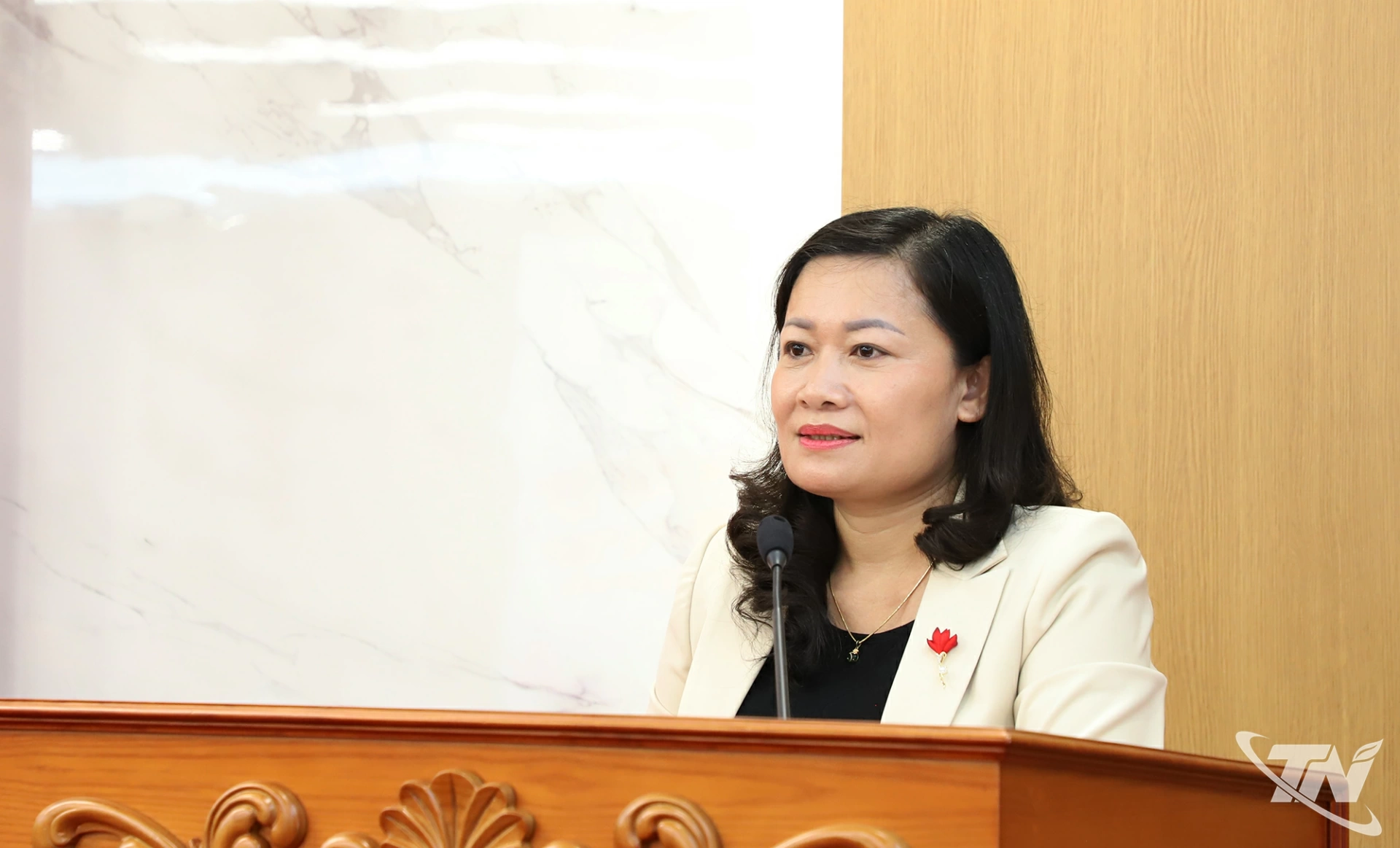 Đồng chí Mai Thị Thúy Nga, Phó Chủ tịch HĐND tỉnh phát biểu.