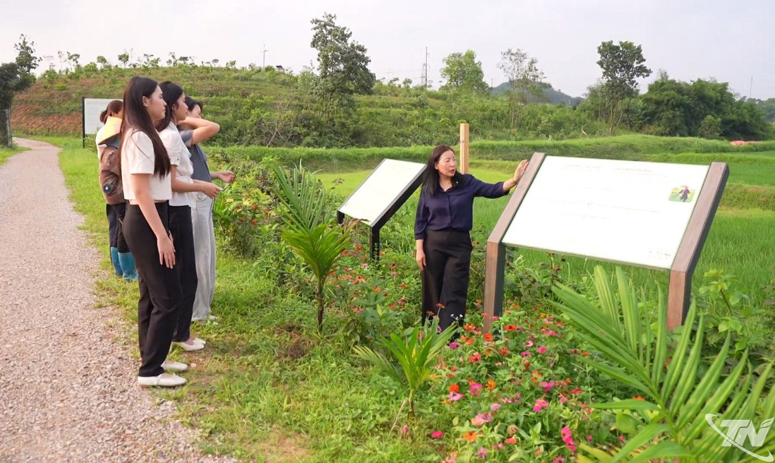 Sinh viên tìm hiểu các mô hình thích ứng với biến đổi khí hậu tại Công viên   Khí hậu (Trường Đại học Nông lâm Thái Nguyên) - không gian học tập    gắn với thực tiễn phát triển bền vững.