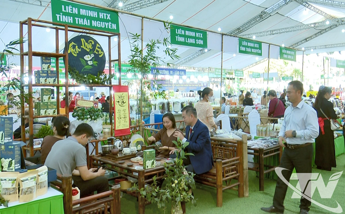 Các gian trưng bày sản phẩm tiêu biểu của các HTX, doanh nghiệp trong và ngoài tỉnh.