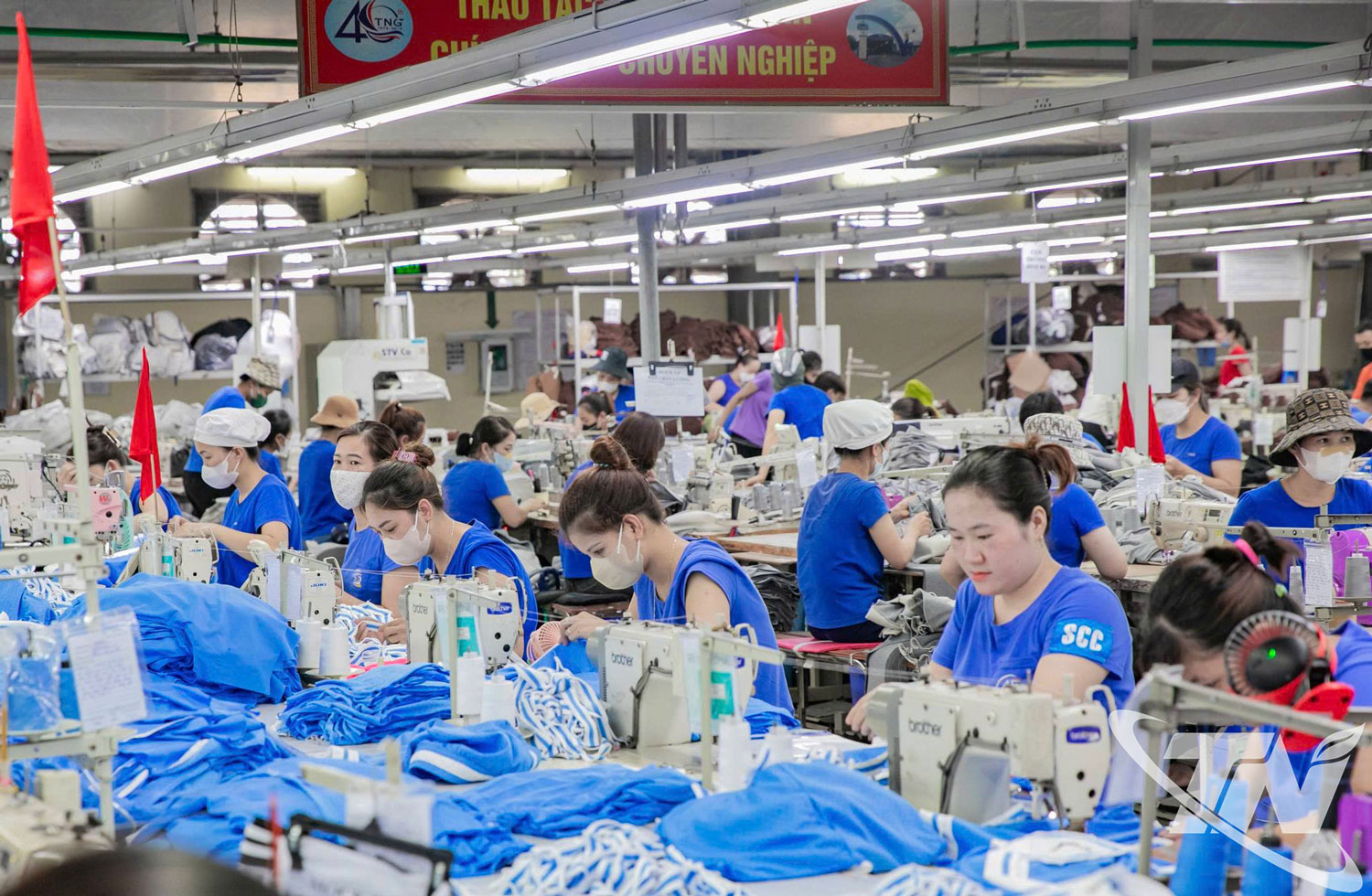 TNG lập kỷ lục doanh thu tháng 1-2026, mở ra kỳ vọng tăng trưởng bứt phá cho doanh nghiệp và ngành may mặc Thái Nguyên.