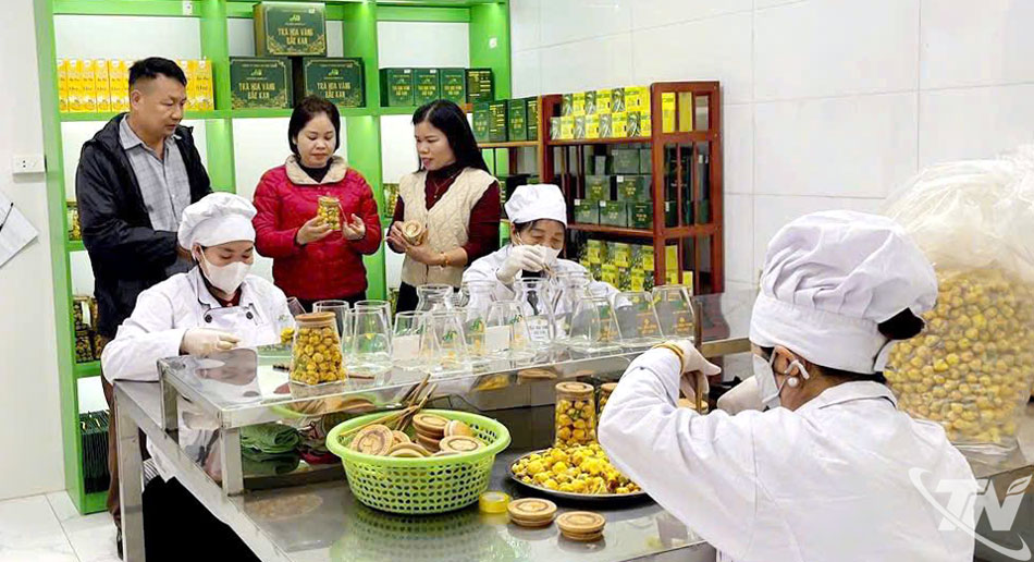 Nhiều sản phẩm đăng ký đánh giá sản phẩm nông nghiệp tiêu biểu đã thể hiện được tính sáng tạo, độc đáo và có giá trị kinh tế cao