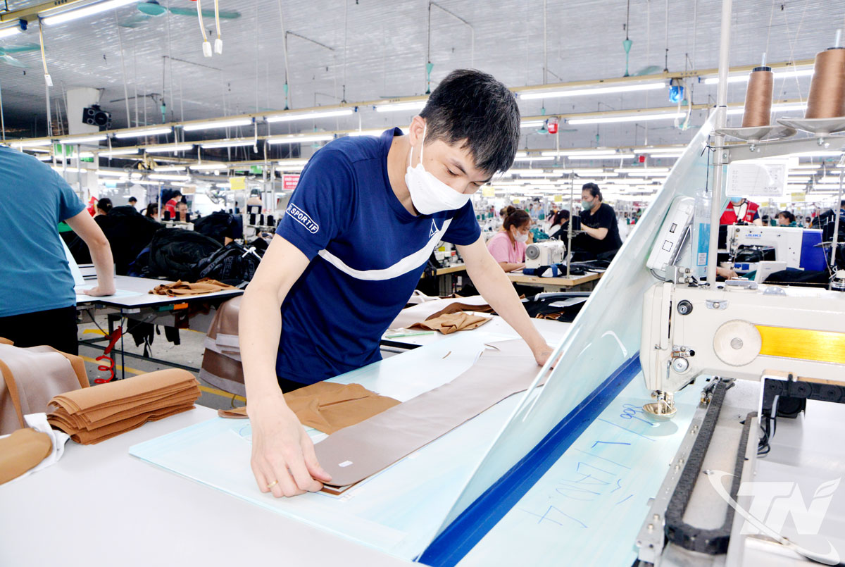 Giá trị xuất khẩu ngành may mặc của tỉnh trong 10 tháng năm 2025 đạt gần 460 triệu USD, tăng 6,7% so với cùng kỳ năm trước.