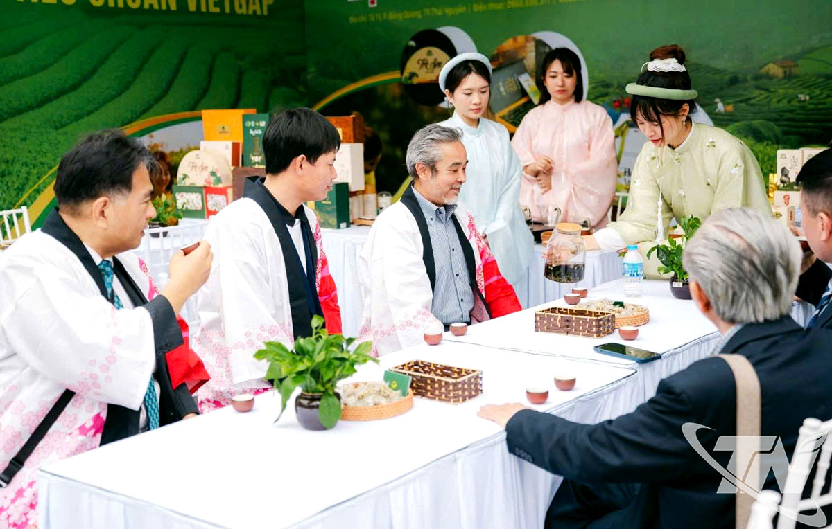 HTX Hương Vân Trà mang hương vị trà Thái Nguyên đến với du khách Nhật Bản tại Lễ hội Hoa Anh Đào năm 2025 được tổ chức tại TP. Hải Phòng. 