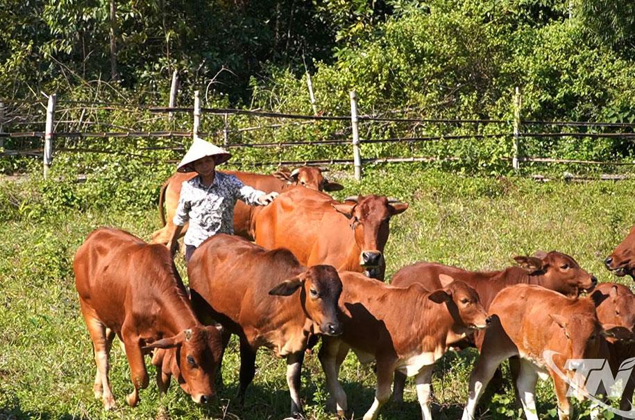 Mỗi năm, gia đ&igrave;nh b&agrave; Diệp Thị Lương (ở x&oacute;m Vạn Ph&uacute;, x&atilde; Th&agrave;nh C&ocirc;ng)    thu được h&agrave;ng trăm triệu đồng từ b&aacute;n b&ograve; giống.