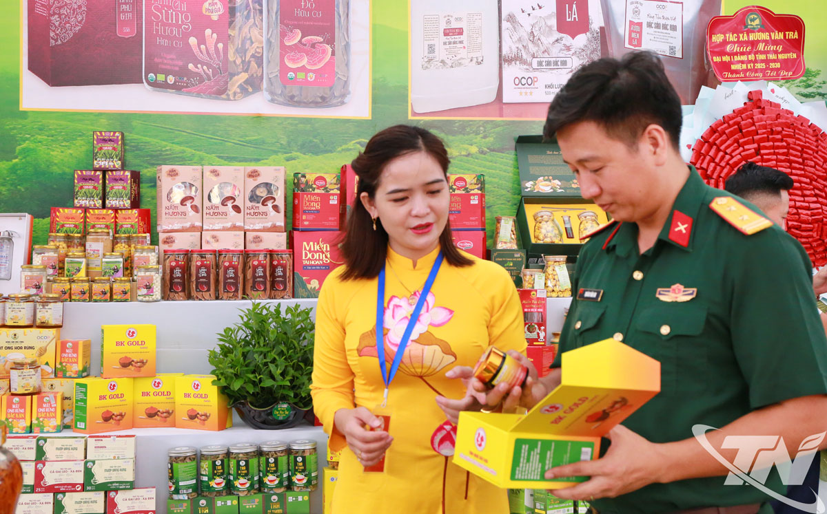 Khu vực trưng bày nổi bật là các dòng trà nổi tiếng, khẳng định vị thế của tỉnh trên bản đồ nông sản quốc tế.