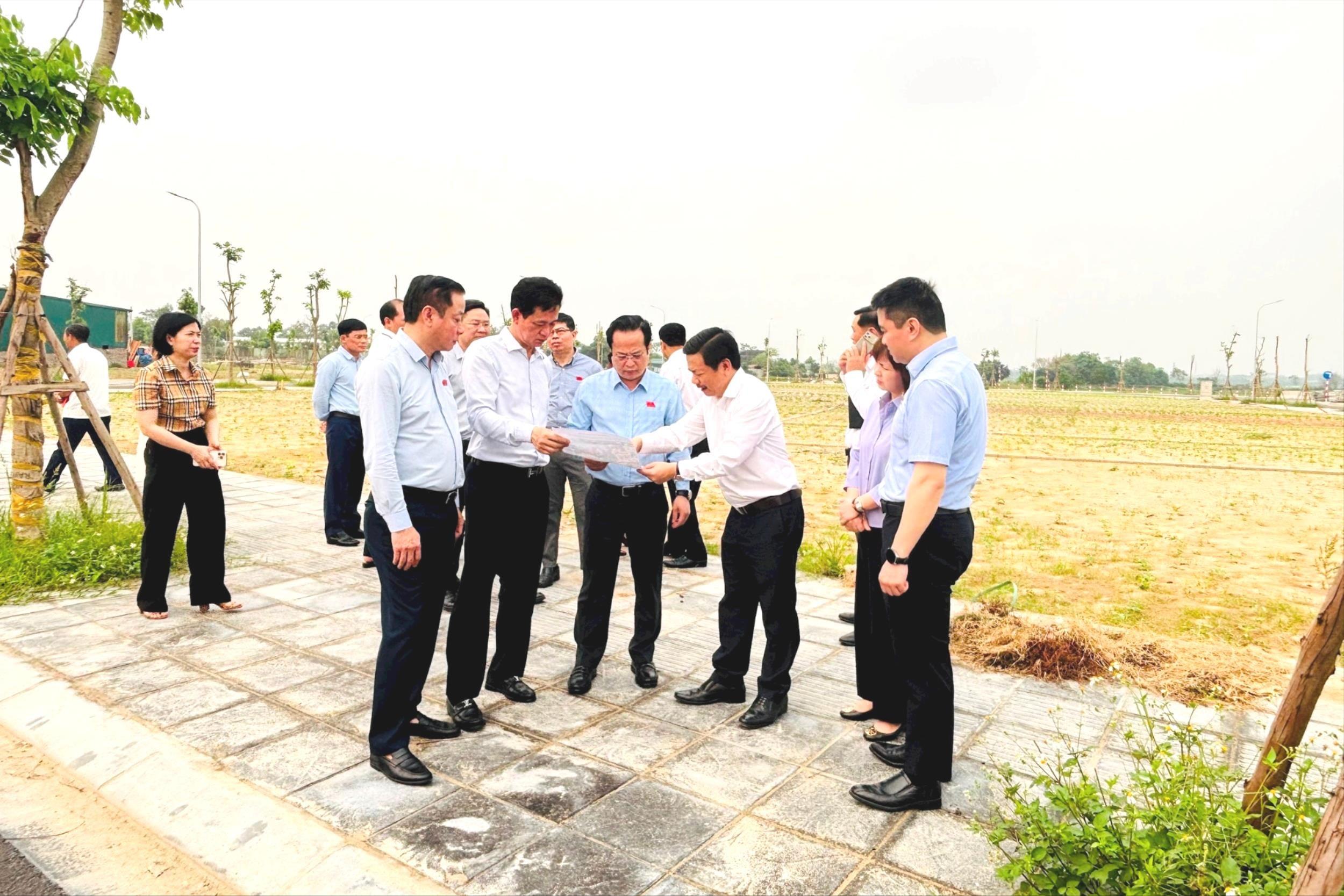 du-an-thu-lam.jpg